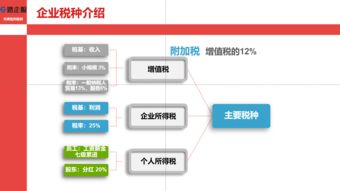 上海合规避税公司