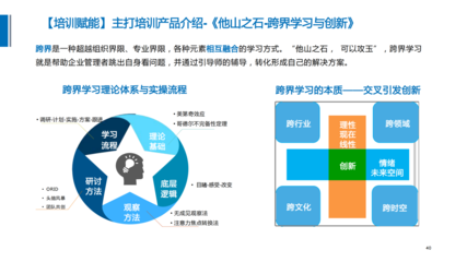 创新与流程咨询项目简介-企业管理咨询解决方案